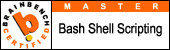Master Bash Shell Scripting